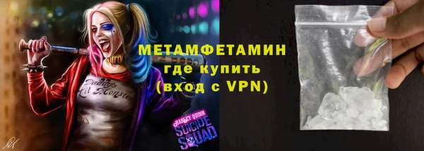 прущие грибы Вязники