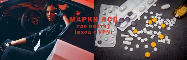 прущие грибы Вязники