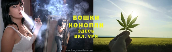прущие грибы Вязники