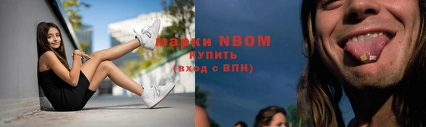 прущие грибы Вязники