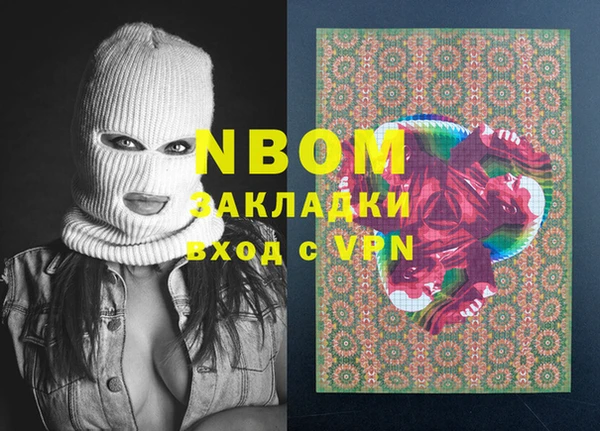 прущие грибы Вязники