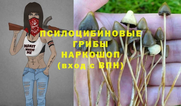 эйфоретик Волоколамск